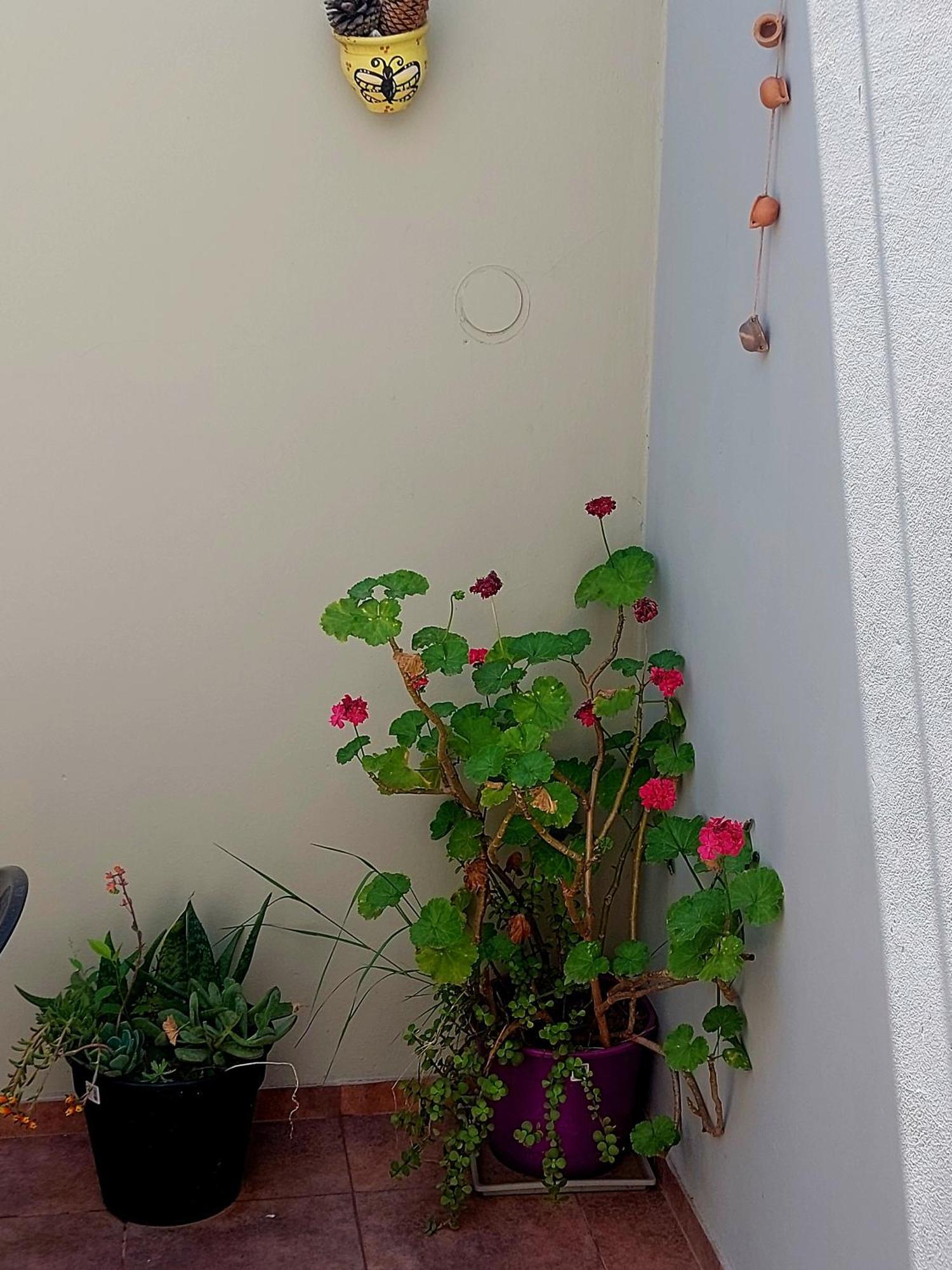 Departamento Cerca Parque Termal Rodo-hue 2
